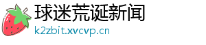 球迷荒诞新闻